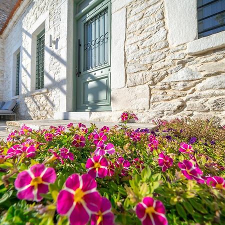 Hibiscus Villa Theologos  Exterior photo